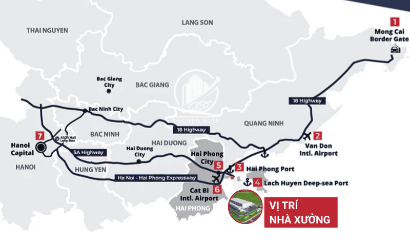 Nhà xưởng ở Vị Trí Chiến Lược – Cửa Ngõ Giao Thương Quốc Tế