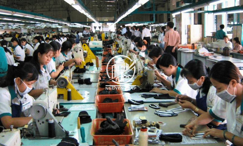 Thái Bình: Nguồn Nhân Lực Dồi Dào, Chất Lượng Cao