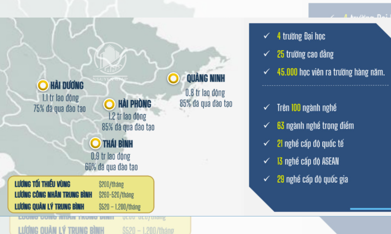 Tiềm năng nguồn nhân lực Khu công nghiệp Tiên Thanh Hải Phòng