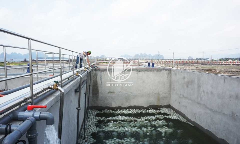 Hệ thống xử lý nước thải tại CCN Cẩm Thịnh