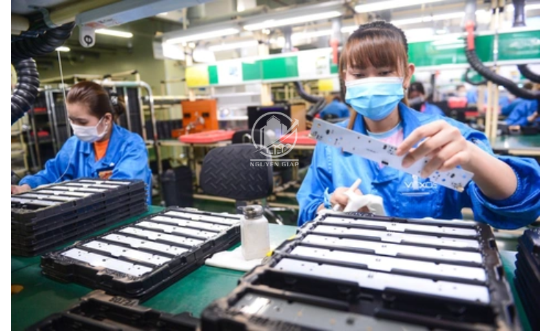 CCN Vĩnh Hòa Thanh Hóa