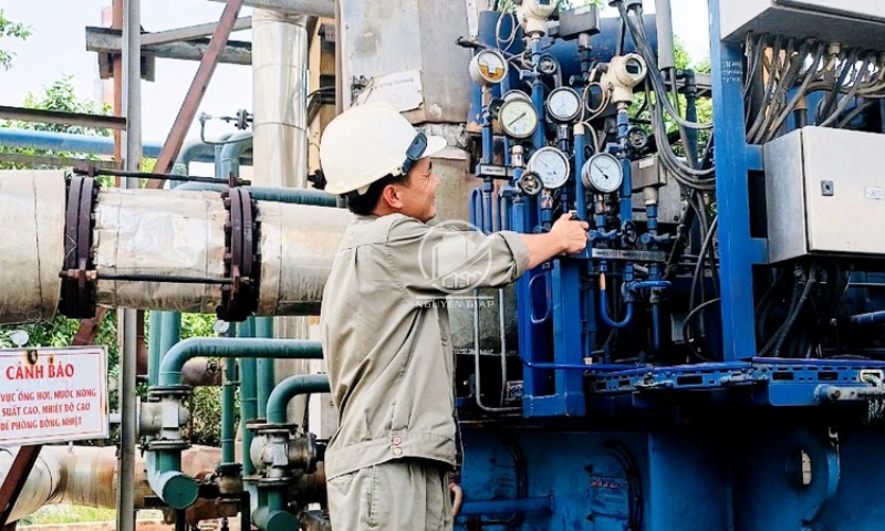 CCN Vĩnh Hòa Thanh Hóa